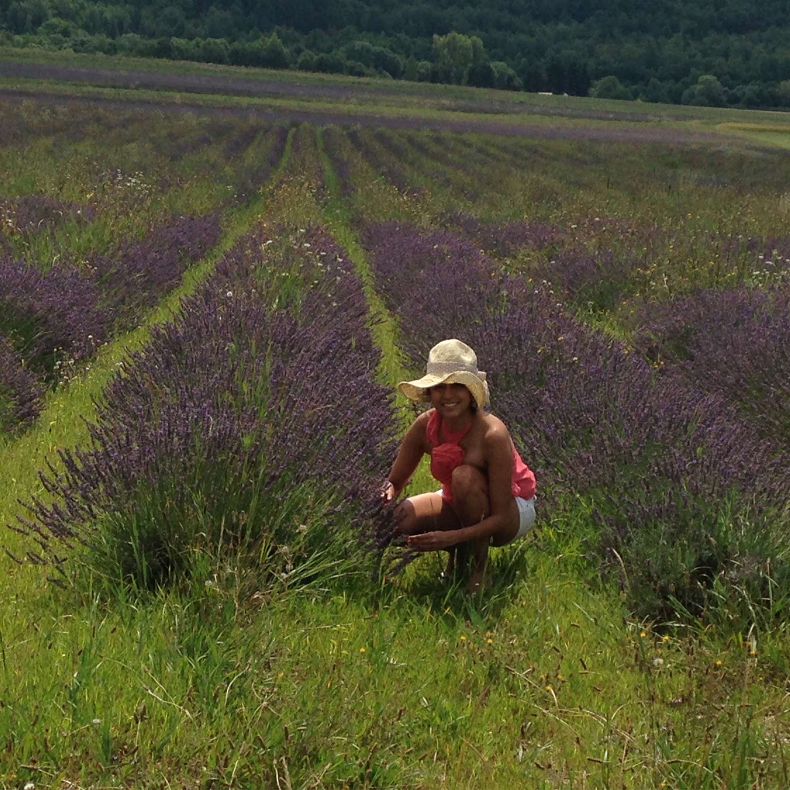 Shrankhla Holecek sitting in a field of lavender