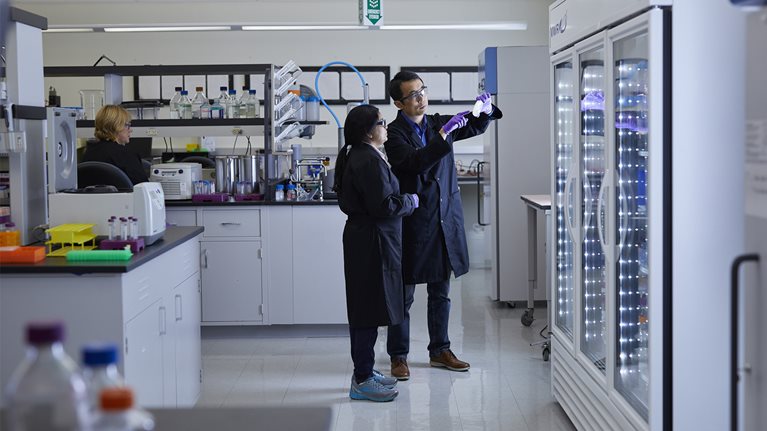Two scientists working in a lab