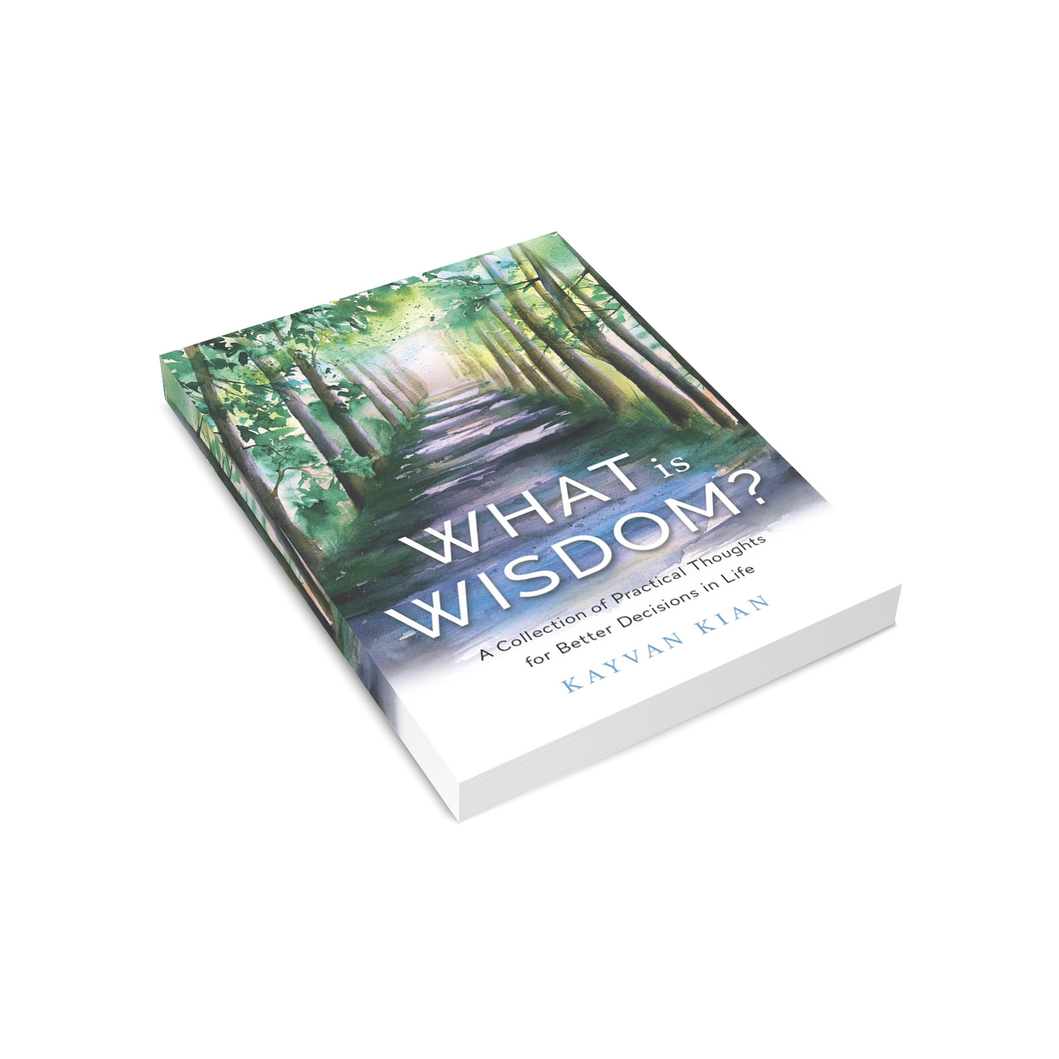 What is Wisdom book, seen from a slanted angle as though it's lying on a table