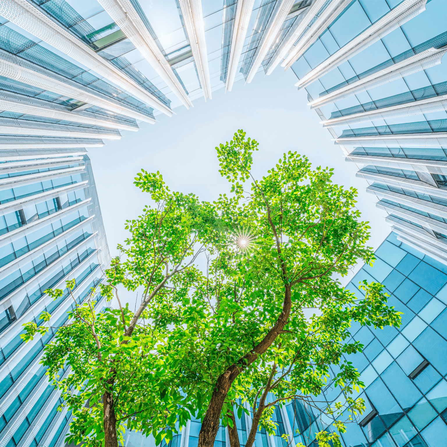 B2B growth is where it’s green