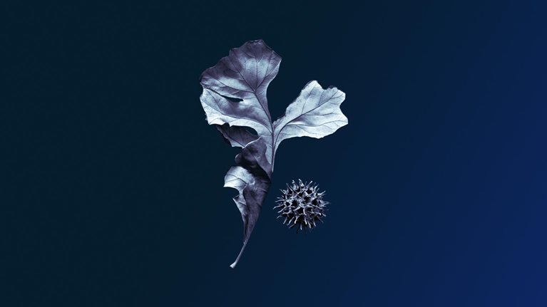 Grief, loss, burnout: Talking about complex feelings at work
