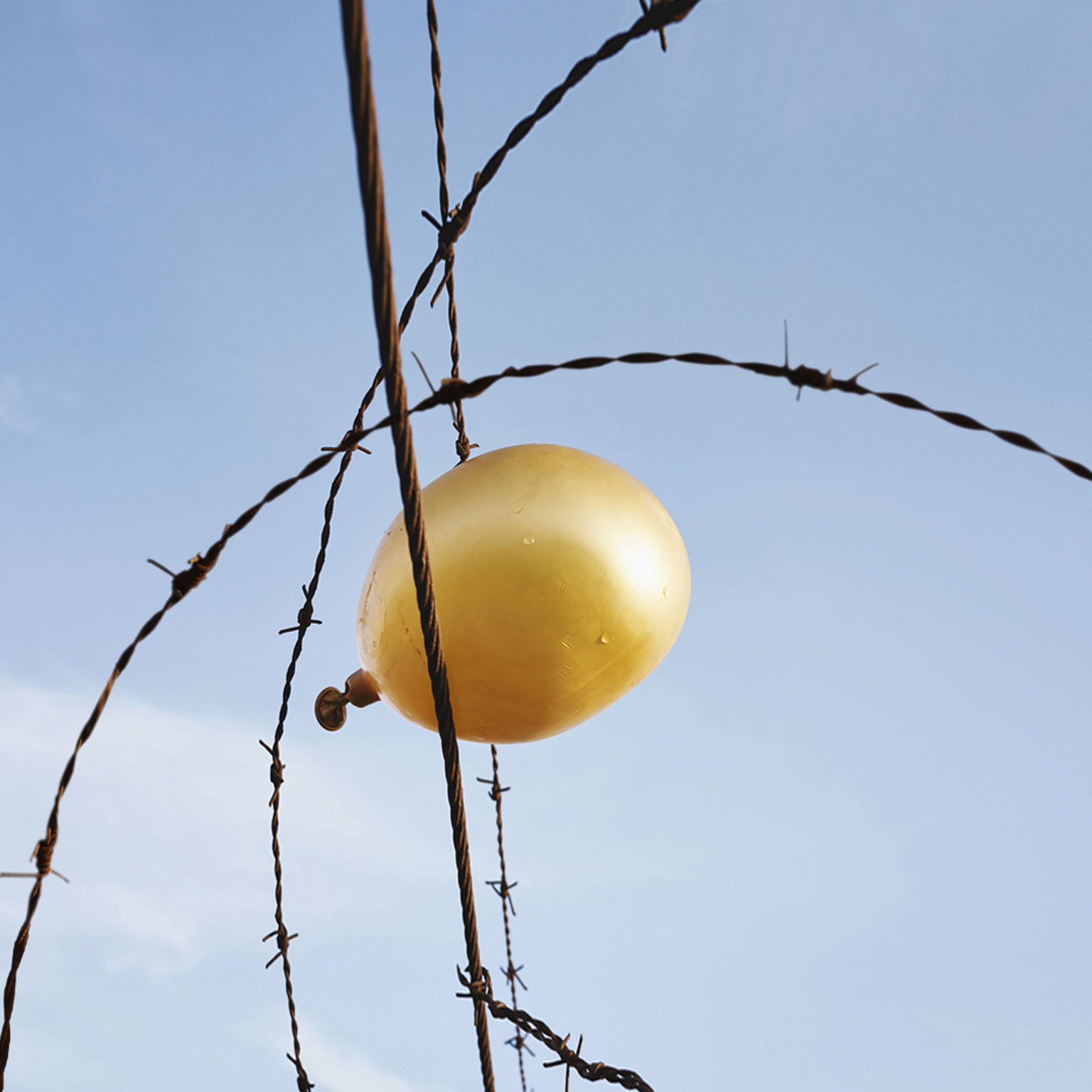 Deflating golden balloon caught in barbed wire