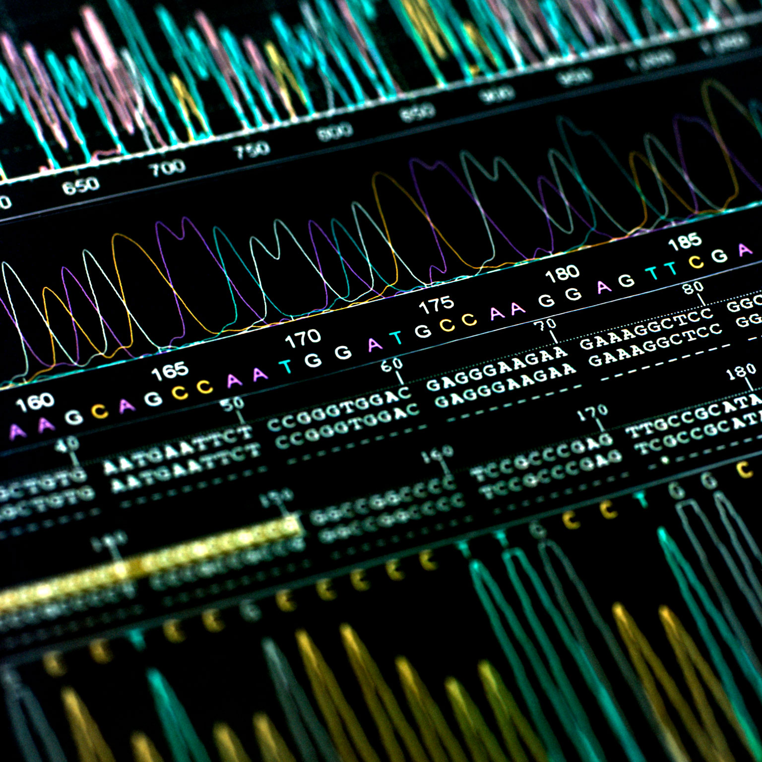 Genetic testing: Opportunities to unlock value around precision medicine