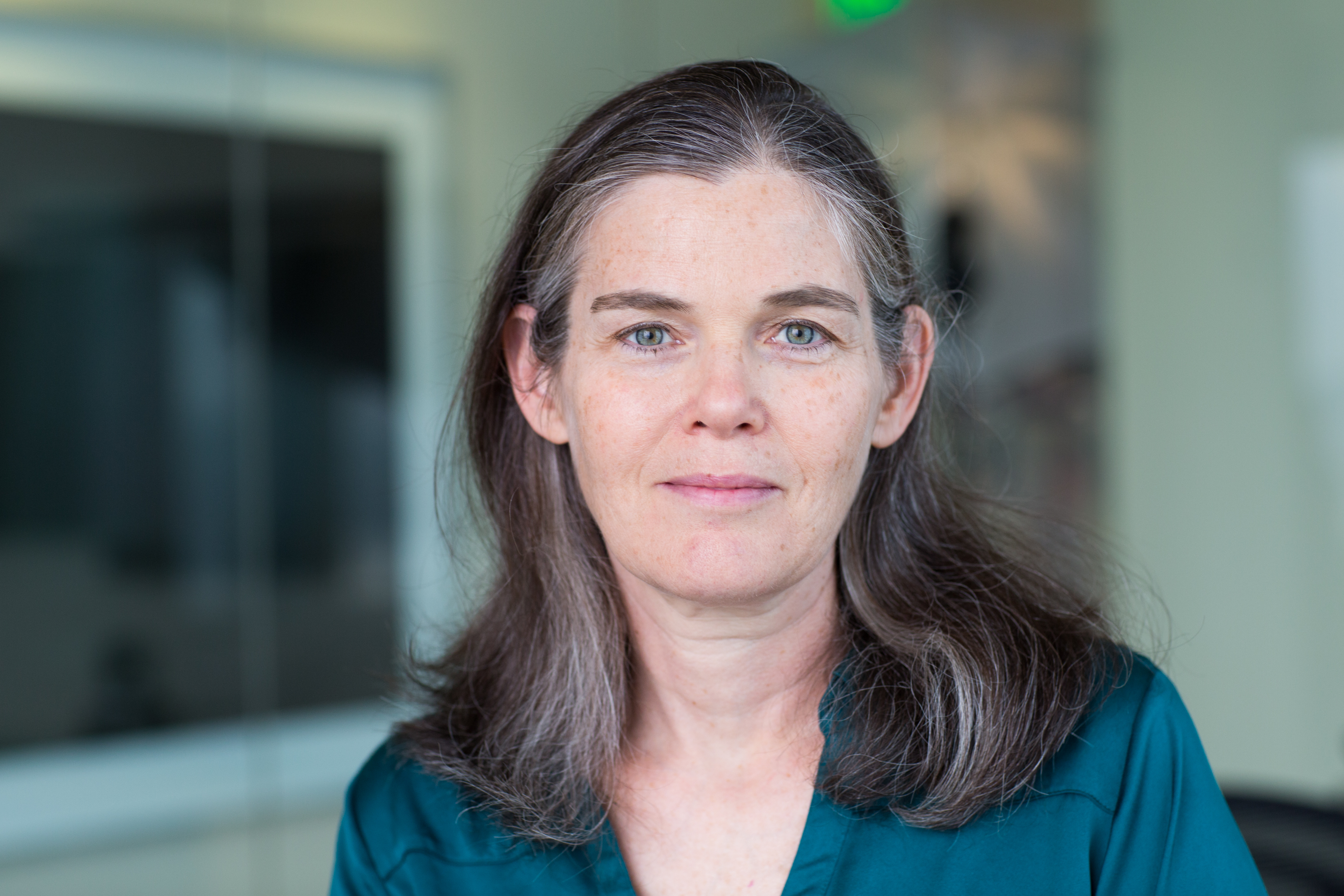 Daphne Koller image