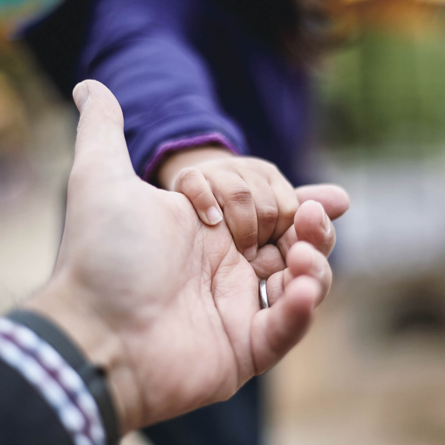 Child's hand holding adult's hand