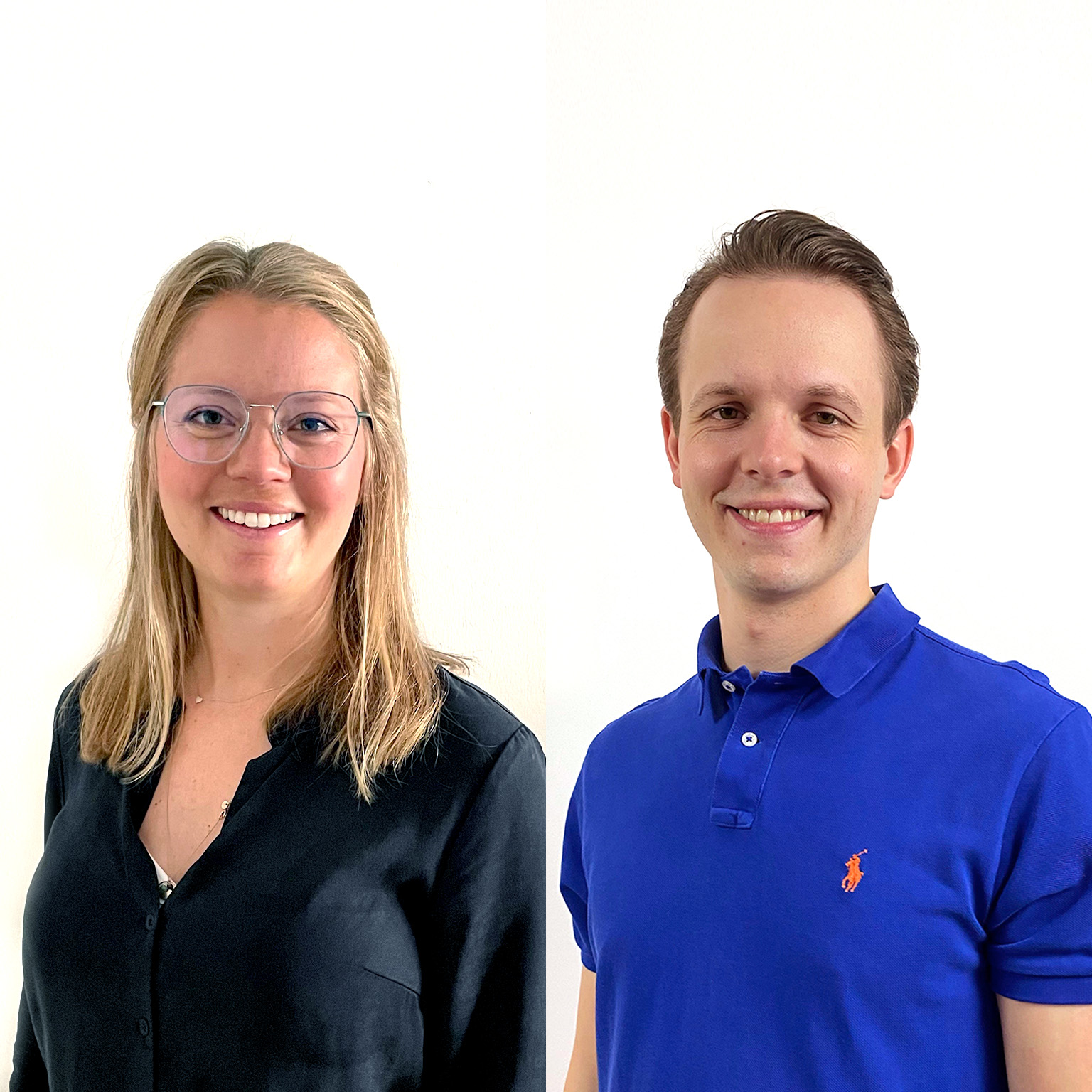 Aus dem Tagebuch eines Beraters.